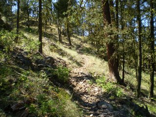 Trail continues to head south and steadily climb, Mount Eneas 2011-08.